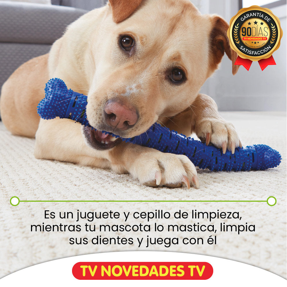 Cepillo De Dientes Para Perro Chewbrush