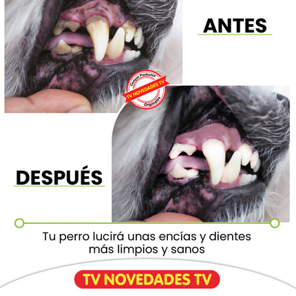 Cepillo De Dientes Para Perro Chewbrush
