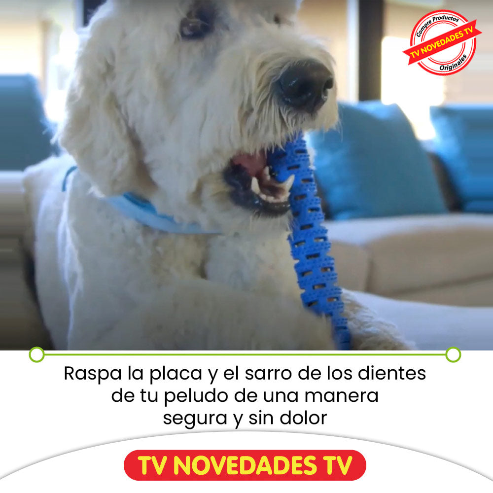 Cepillo De Dientes Para Perro Chewbrush