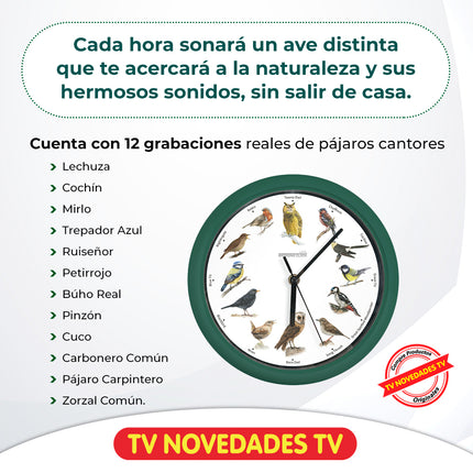 Reloj de pared con 12 cantos de aves reales Starlyf Birdsong